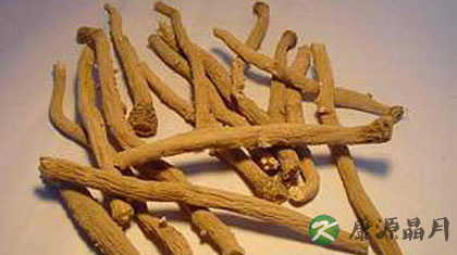 板蓝根的副作用