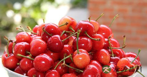 低卡路里的肉类食物