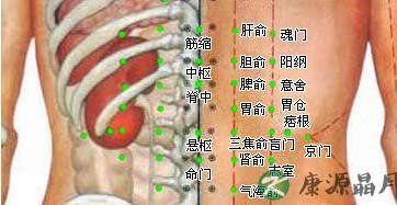 三九贴常用养生穴位
