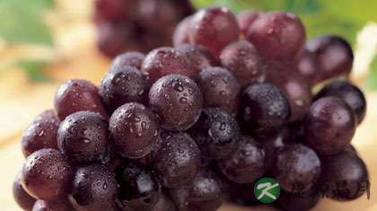 酸性体质如何调理