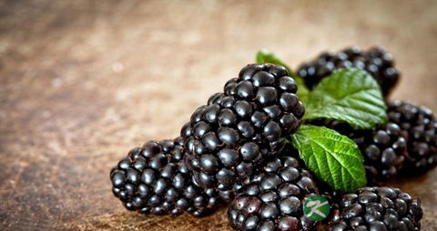 桑葚吃多了会上火吗