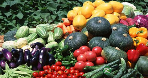 中暑能不能汗蒸