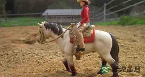 煎中药的正确方法