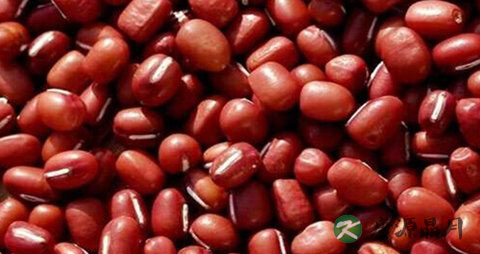 红豆吃多了会上火吗