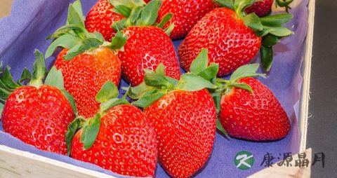 吃草莓之后头晕恶心怎么回事