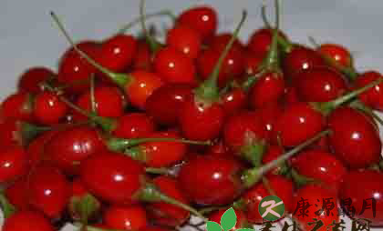 几种养生中药的妙用