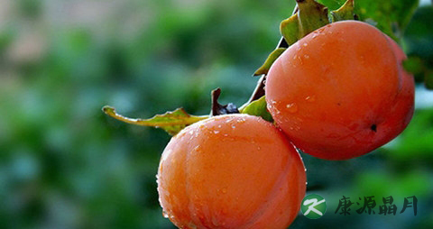 柿子吃多了会上火吗