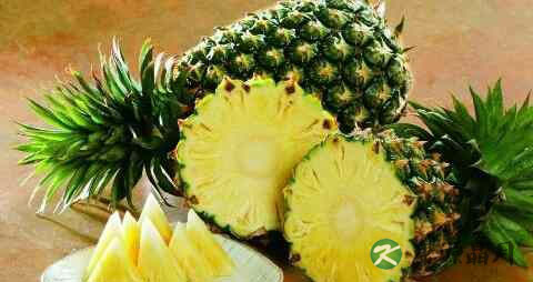 降血压的蔬菜有哪些