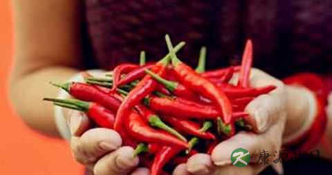 经期可以喝紫苏茶吗