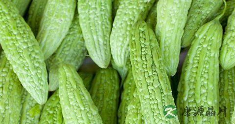 中暑能不能挂针