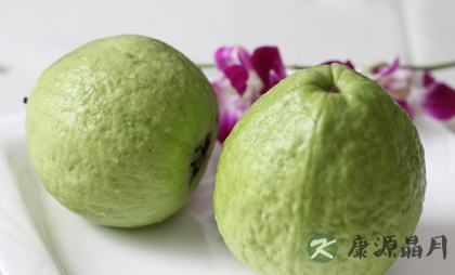 盘点番石榴的功效与作用有哪些