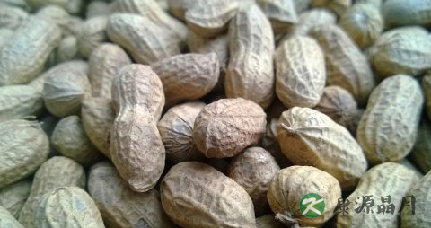 水煮花生吃多了会上火吗 水煮花生吃多了会上火吗