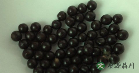 桂附地黄丸的副作用