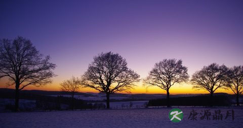为什么冬天手长冻疮 为什么冬天手长冻疮
