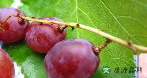 孕妇葡萄吃多了会上火吗 孕妇葡萄吃多了会上火吗