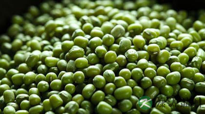 孕妇可以吃绿豆吗