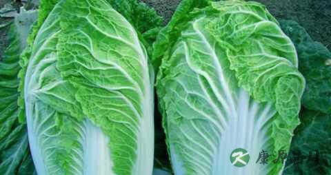 中暑能不能喝酒