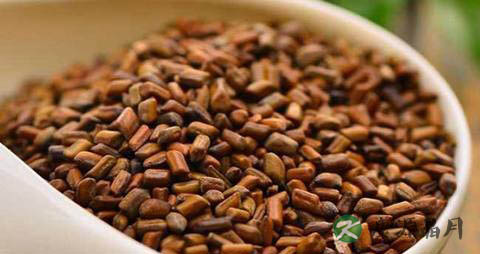 决明子怎样泡水喝