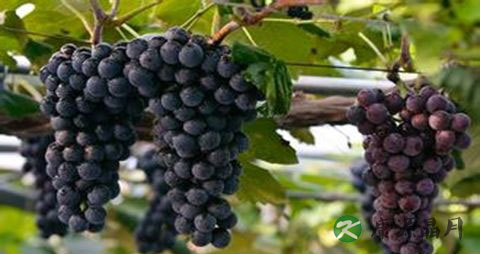 工作原因睡眠不足如何调理