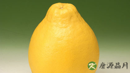 冬天吃柚子好吗 冬天吃柚子的5大好处