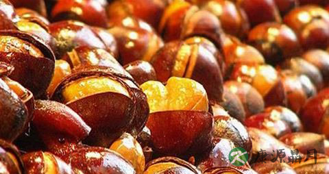 栗子吃多了会胖吗 栗子吃多了会胖吗