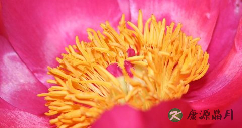 脂肪瘤怎么办 脂肪瘤怎么办