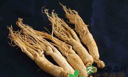 几种养生中药的妙用