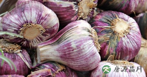 高血压会引起鼻炎吗 高血压会引起鼻炎吗