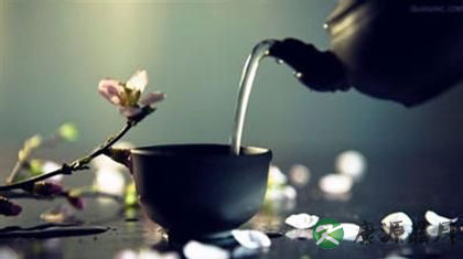 喝中药能喝茶吗