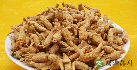 秋季吃对食物 小病不求医