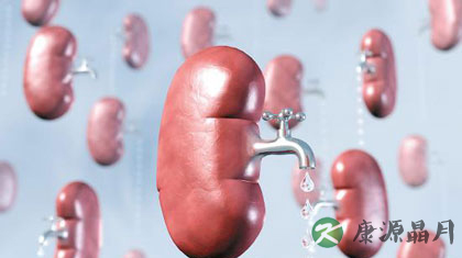 尿常规检查结果分析