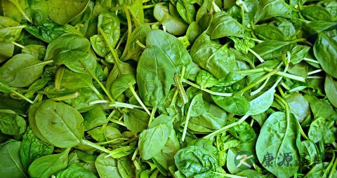 尿毒症如何治疗