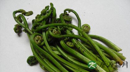 蕨菜致癌吗？致癌证据不充分