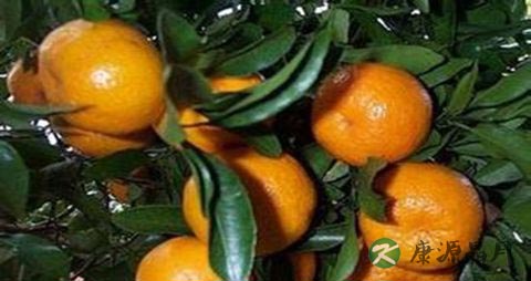 血压高怎么调理