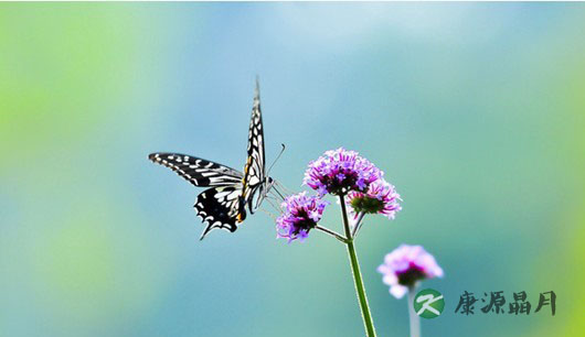 被广泛运用的红霉素软膏