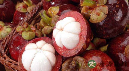 降火消暑，清凉一夏