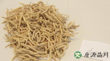 太子参的功效与作用_太子参的食用方法