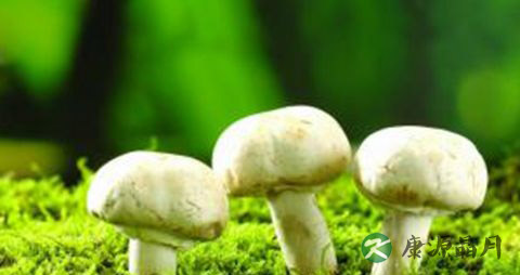 发生食物中毒怎么办