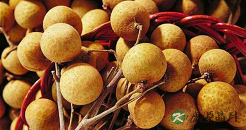 新鲜桂圆吃多了会上火吗