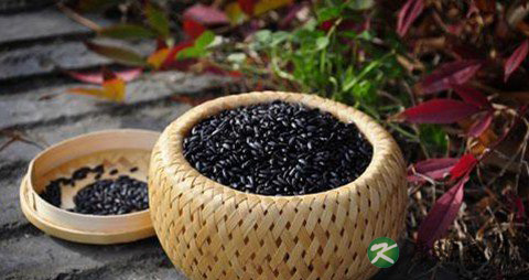 黑芝麻一天吃多少合适