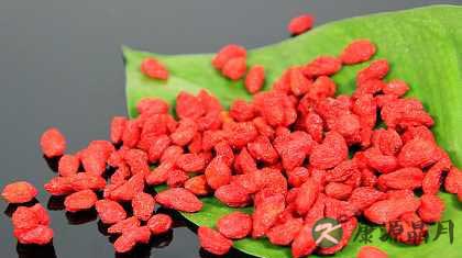 名药枸杞的十七大养生功效