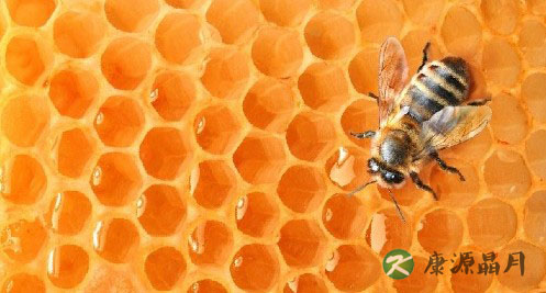 降火消暑，清凉一夏