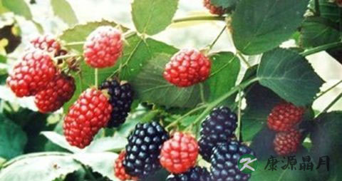 带孩子每天睡眠不足头晕怎么办