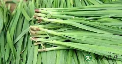 手脚冰凉怎么调理