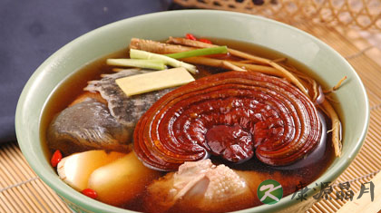 灵芝的功效与作用及食用方法