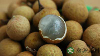 盛夏果实之龙眼