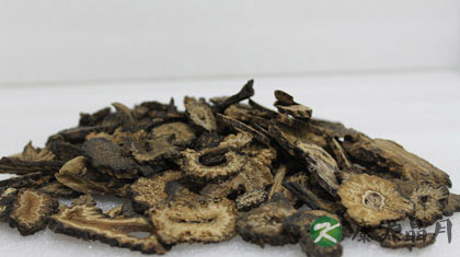 肉苁蓉怎么泡酒