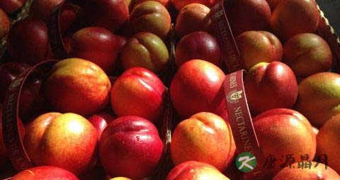 油桃吃多了会上火吗 油桃吃多了会上火吗