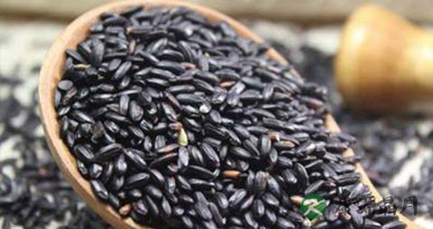 黑芝麻一天吃多少合适