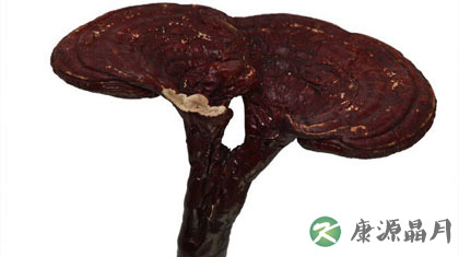 灵芝的副作用